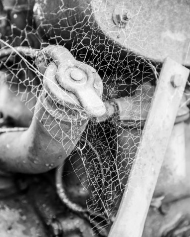 MU_2020-05-28_1282-2